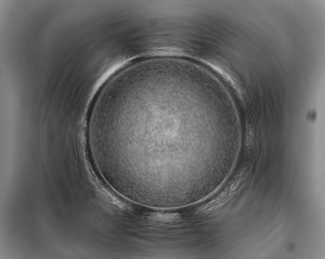 X0000100951325200807011259
