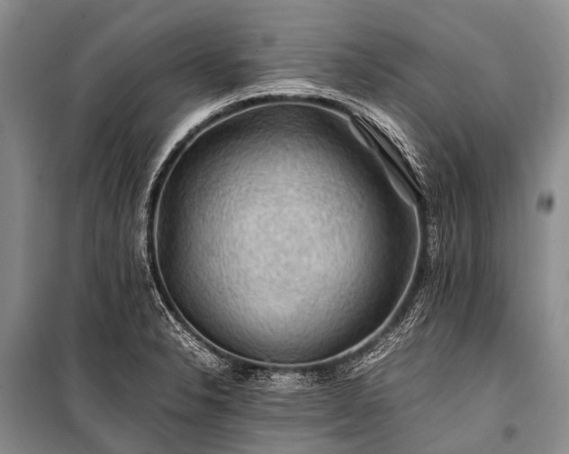 X0000100951326200807011259