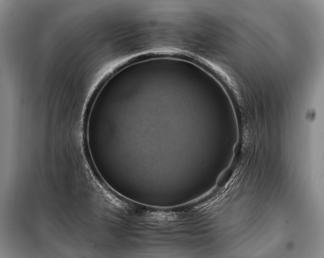 X0000100951327200807011259
