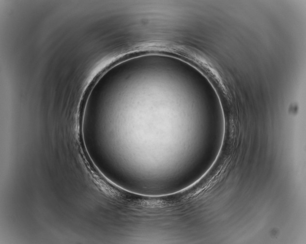 X0000100951328200807011259