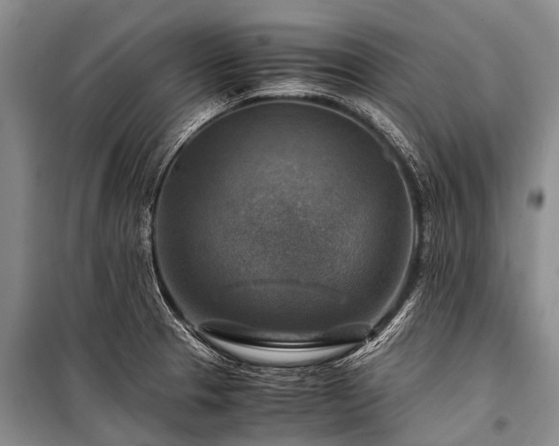 X0000100951329200807011259