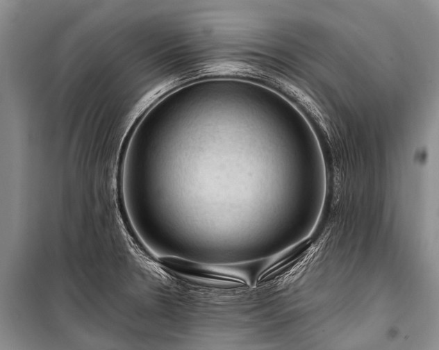 X0000100951330200807011259