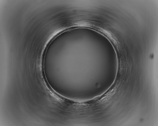 X0000100951331200807011259