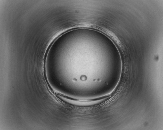 X0000100951332200807011259