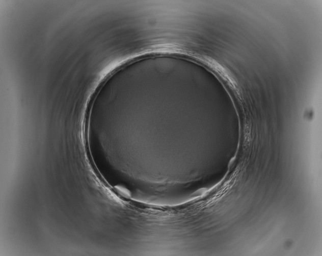 X0000100951334200807011300