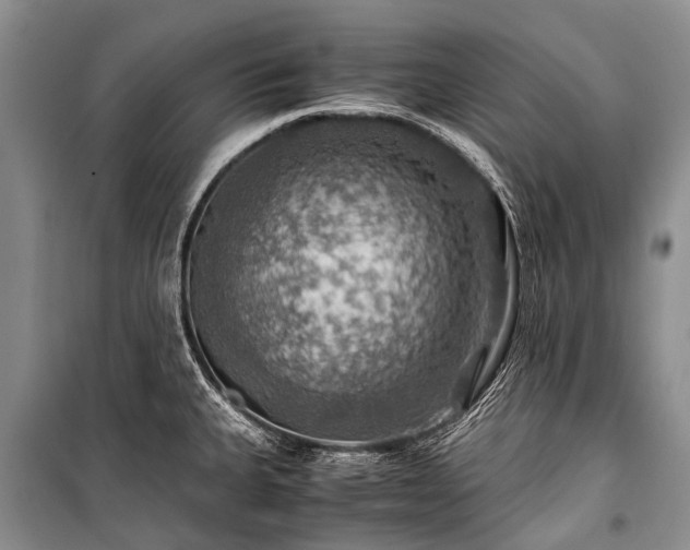 X0000100951335200807011300