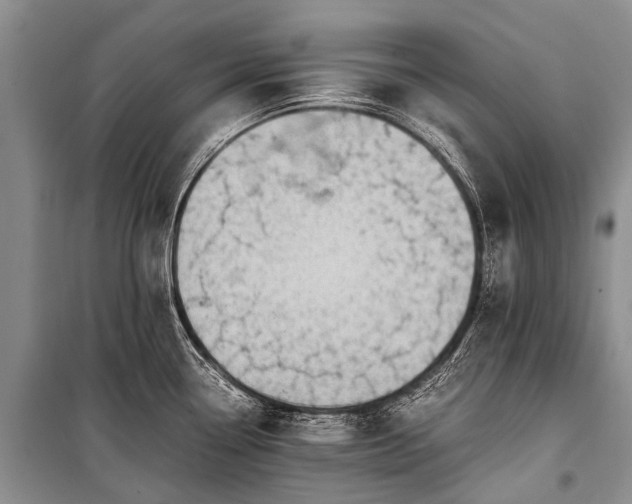 X0000100951338200807011300