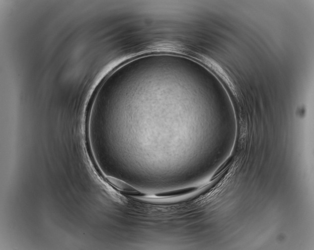 X0000100951339200807011300