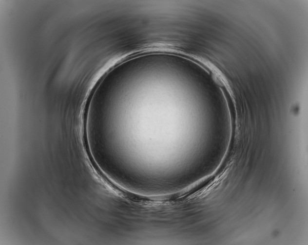 X0000100951341200807011300