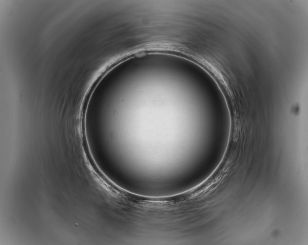 X0000100951342200807011300