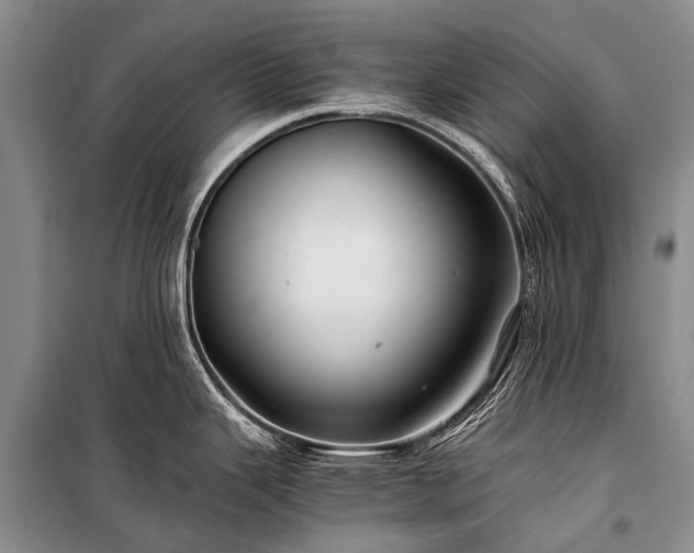 X0000100951343200807011300