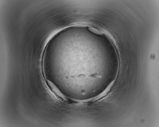 X0000100951344200807011300