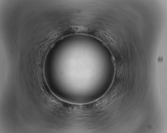 X0000100951345200807011259
