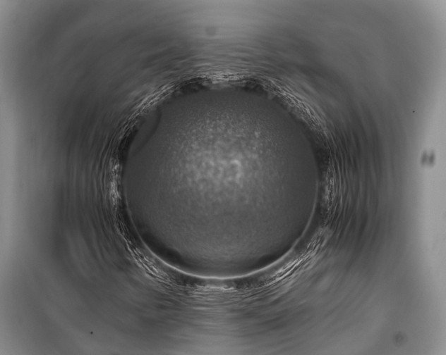 X0000100951346200807011259