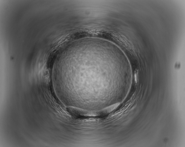 X0000100951347200807011259