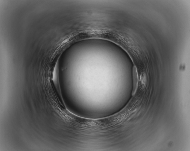 X0000100951348200807011259