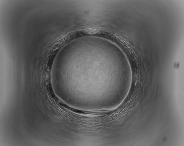 X0000100951349200807011259