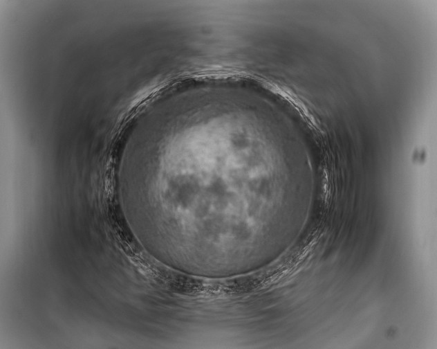 X0000100951350200807011259