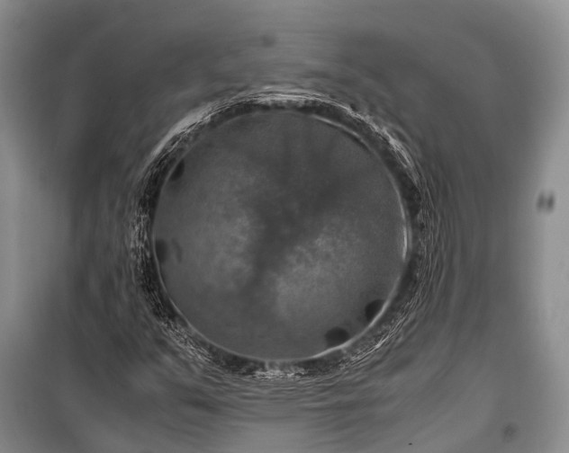 X0000100951351200807011259