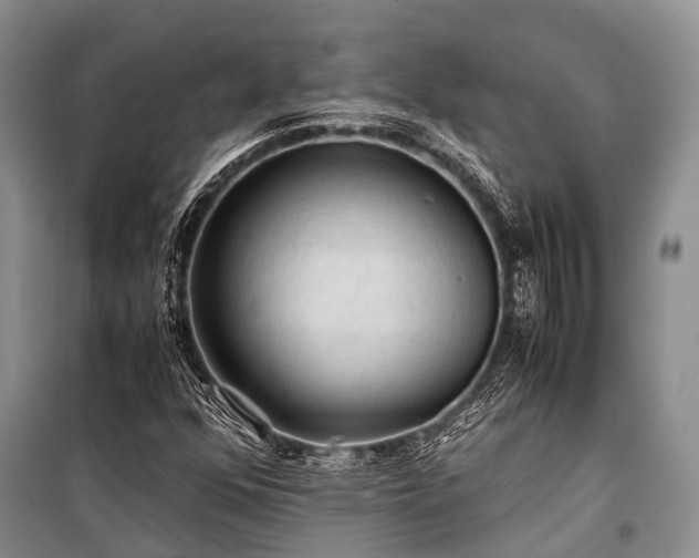 X0000100951352200807011259