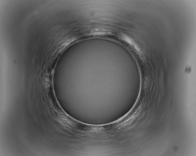 X0000100951353200807011259