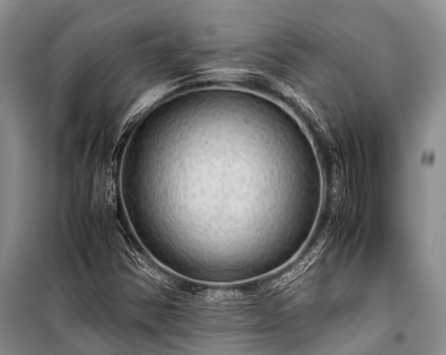 X0000100951354200807011259