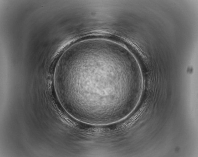 X0000100951355200807011259
