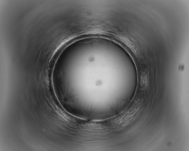 X0000100951356200807011259
