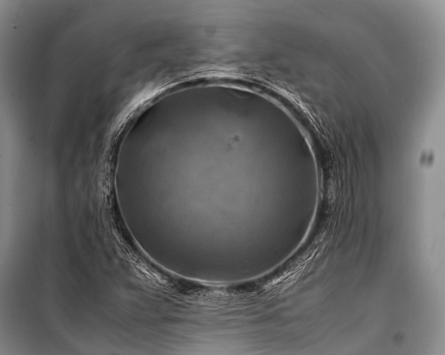 X0000100951359200807011259