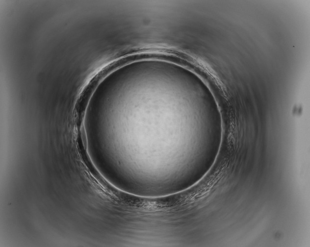 X0000100951360200807011259