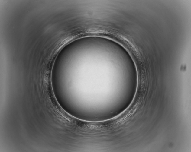 X0000100951361200807011259