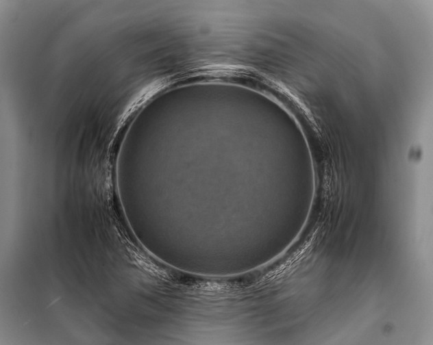X0000100951362200807011259