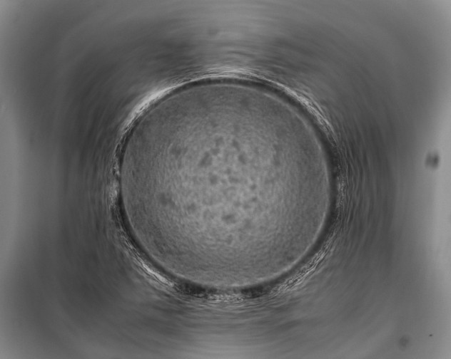 X0000100951363200807011259