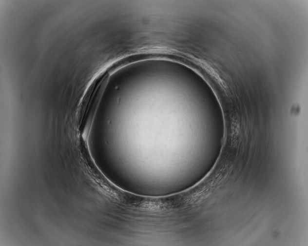 X0000100951364200807011259