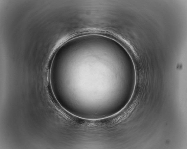 X0000100951365200807011259