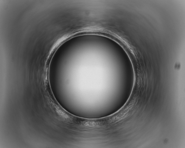X0000100951366200807011259