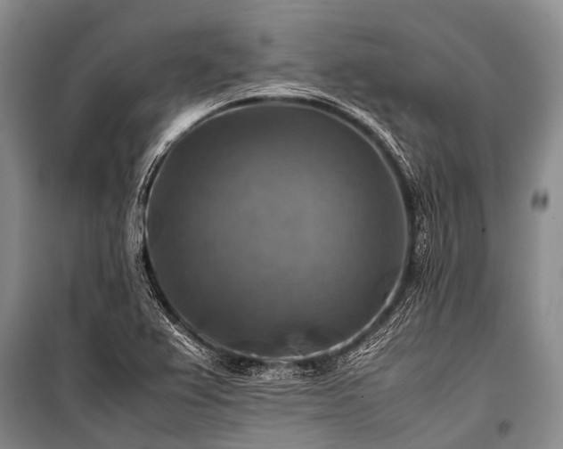 X0000100951367200807011259