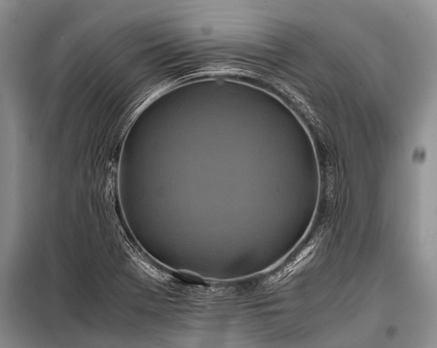 X0000100951369200807011259