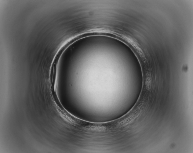 X0000100951372200807011259