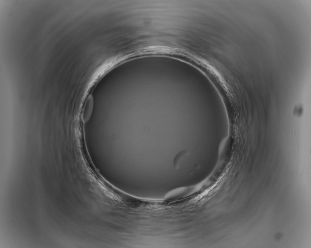 X0000100951373200807011259