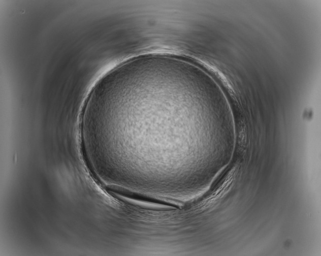 X0000100951375200807011259