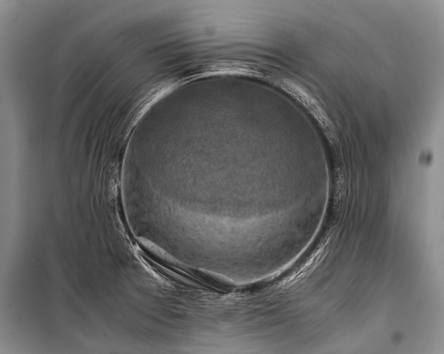 X0000100951377200807011259