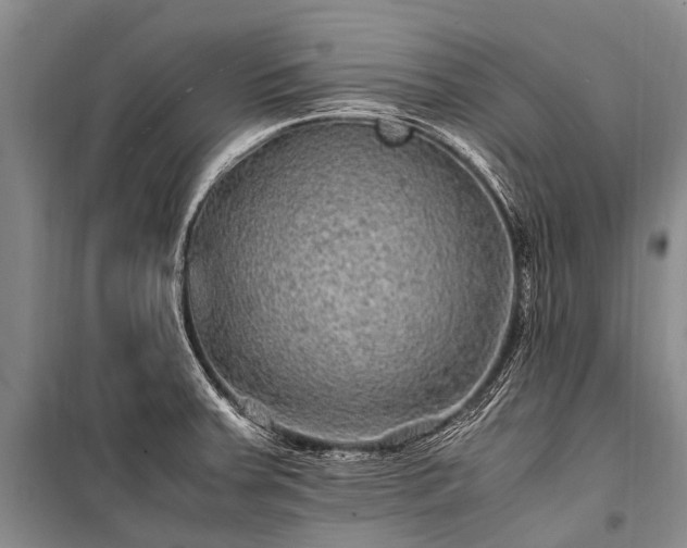 X0000100951379200807011259