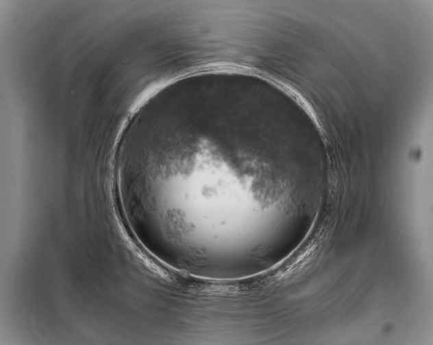 X0000100951381200807011258