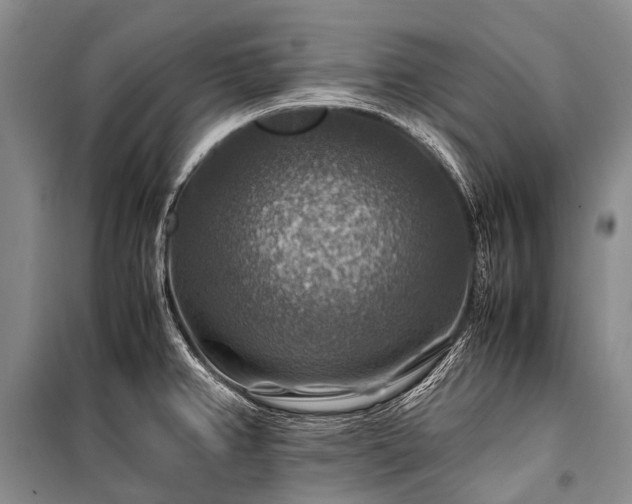 X0000100951382200807011258