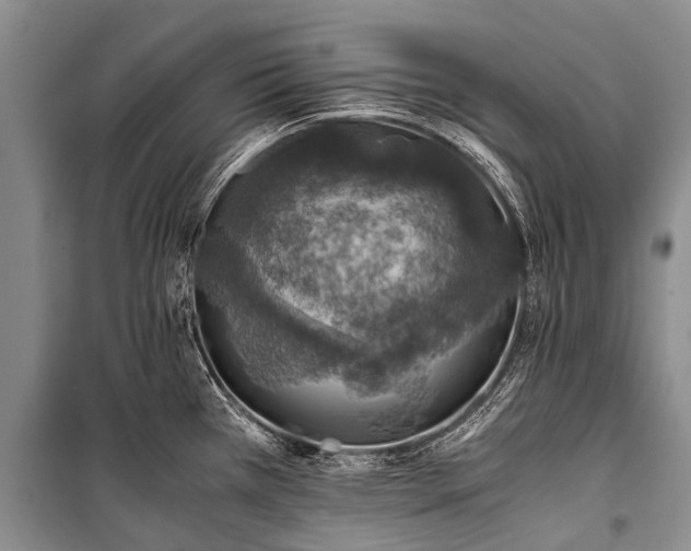 X0000100951385200807011258