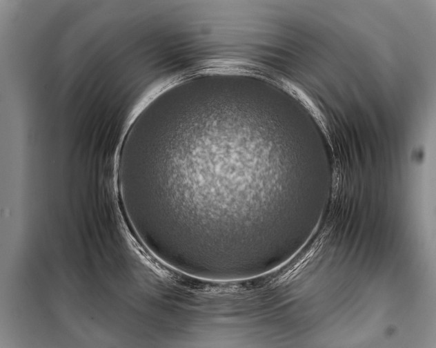 X0000100951386200807011258