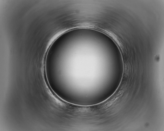 X0000100951387200807011258