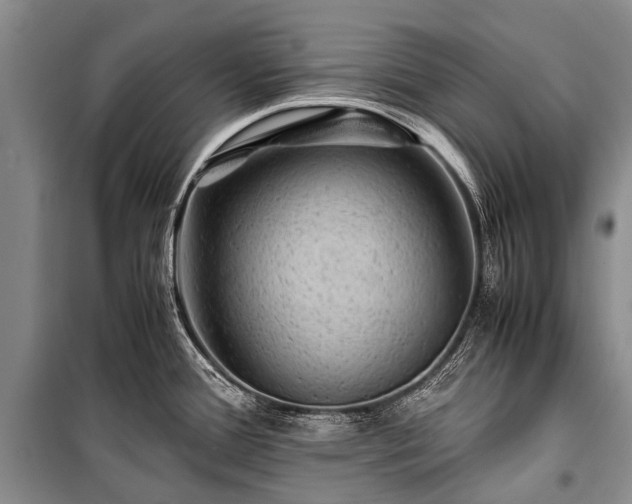 X0000100951388200807011258