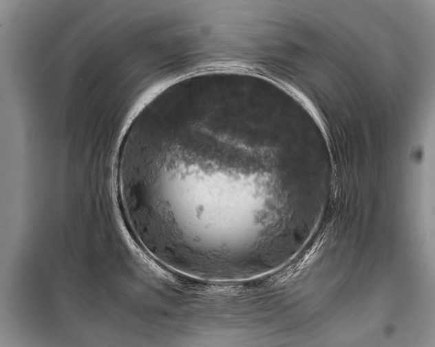 X0000100951389200807011258